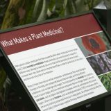 An informational sign entitled "What Makes a Plant Medicinal?"