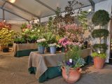 Antique Garden Furniture Fair: Antiques for the Garden and the Garden Room Preview Party & Collectors' Plant Sale