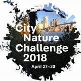 Image that says: City Nature Challenge 2018