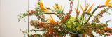 wild sculptural arrangement