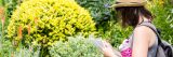 student taking notes in Perennial Garden