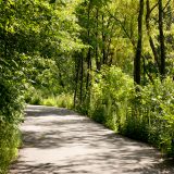 The Wild Wetland Trail in spring.