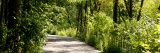 The Wild Wetland Trail in spring.