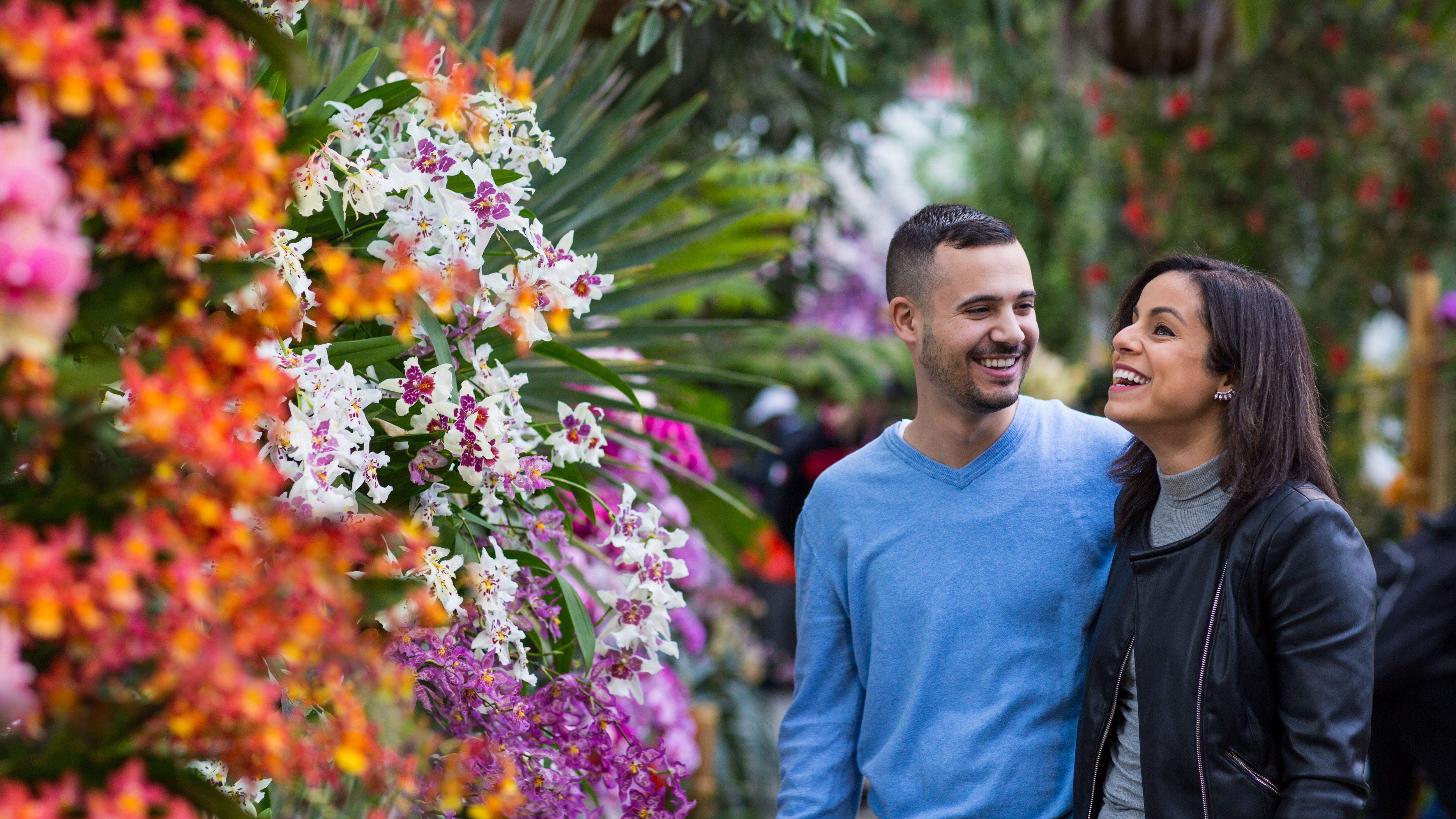 A couple walking by colorful flowers during Orchid Evenings