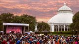 Summer Concert Series