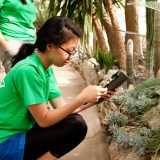 A student photographing plants in the Conservatory.