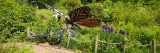 Butterfly path at ECAG