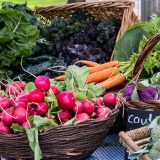 Vegetables on a table