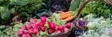 Vegetables on a table