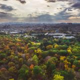 Aerial view of NYBG and NYC