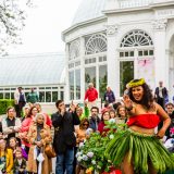 hula dancers at the Conservatory