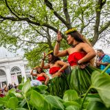 Hula dancers in front of the Conservatory