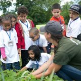 An NYBG staff member teaching several young boys and girls about gardening.