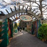 Children running through the entrance gate of Everett Children Adventure Garden in the fall