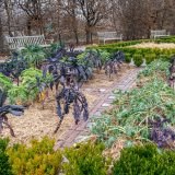 Photo of the Barnsley Beds at NYBG