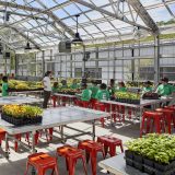 Children learning about gardening in the Edible Academy