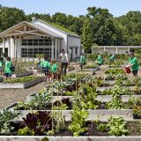 Children watering flowers in the Edible Academy