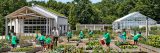 Kids watering plants in the Edible Academy