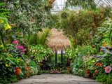 Walkway surrounded by colorful plants in a Georgia O'Keeffe exhibit