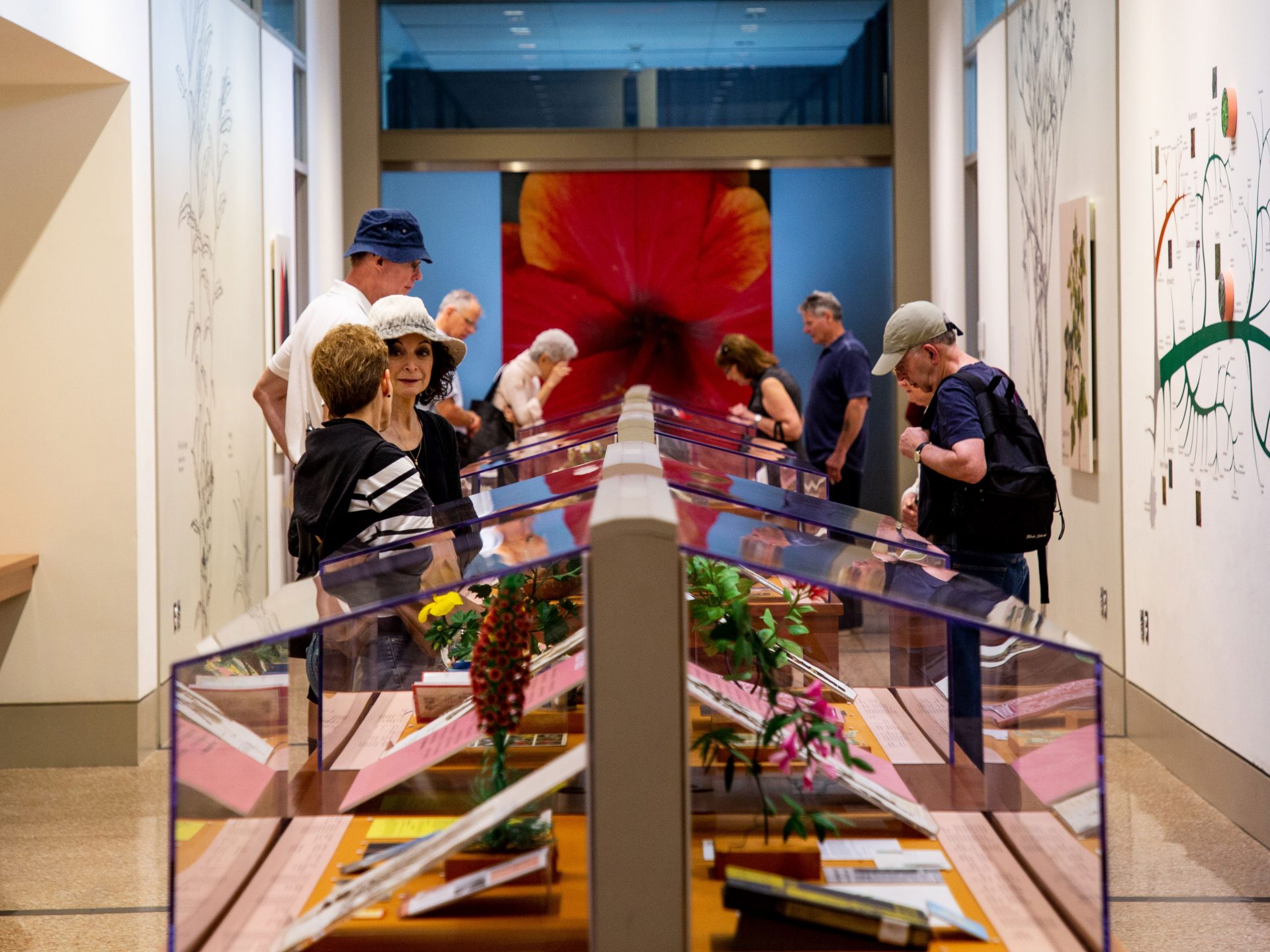 O’Keeffe Visions of Hawai‘i » New York Botanical Garden