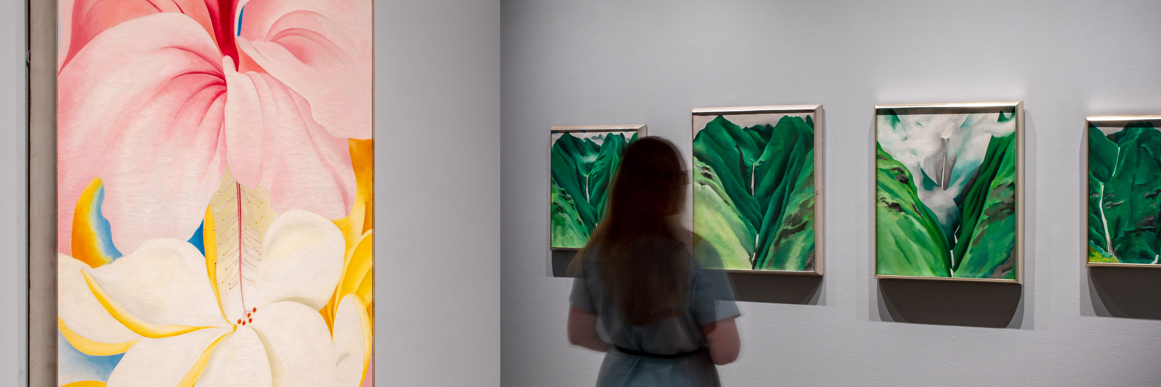 O’Keeffe Visions of Hawai‘i » New York Botanical Garden