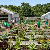 Children watering plants in the Edible Academy.