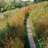 Image of Mill River Trail for Beka Sturges Landscape Design Portfolio Series