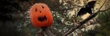 A pumpkin scarecrow at dusk.