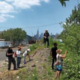 EcoFlora volunteers look for plants in a NYC lot.