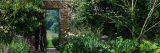 A brick gate amid lush flora.