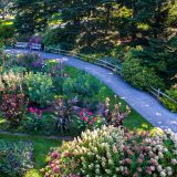 Aerial view of a walkway next to trees and colorful flowers