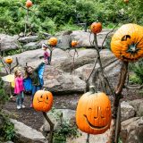 Photo of two girls in butterfly costumes pointing at a scarecrow pumpkin during Spooky Pumpkin Nights