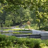 Image of a small waterfall in the Native Plant Garden in summer.