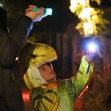 A child in a dinosaur costume holding up a flashlight.