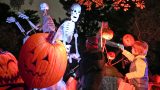 Photo of Spooky Pumpkin Nights