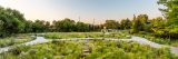 Image of Brooklyn Naval Yard for Landscape Design Portfolio Series