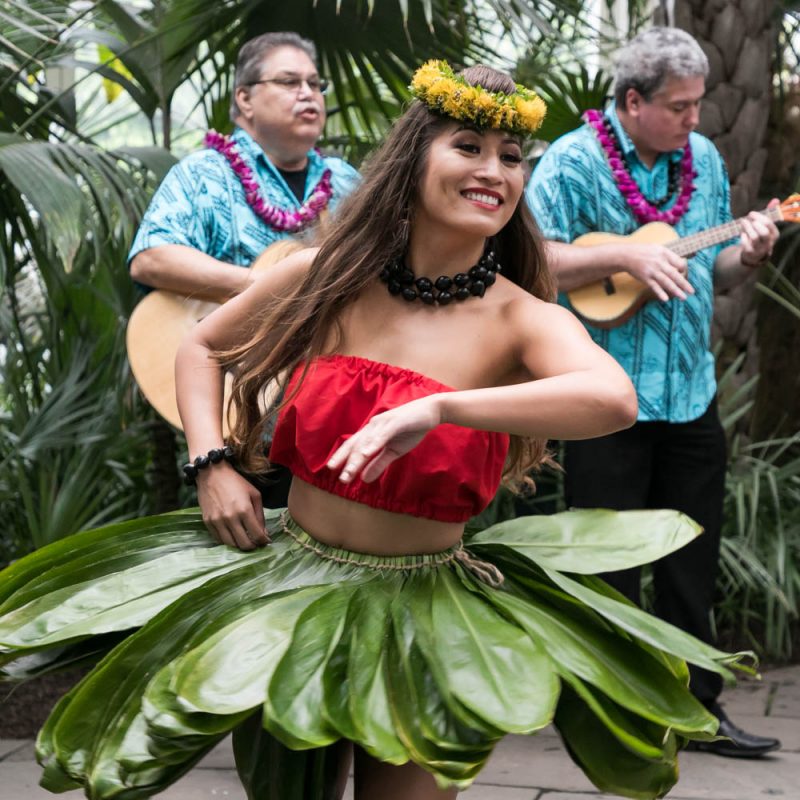 Aloha Nights Encore | New York Botanical Garden