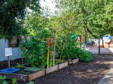 Douglas School Garden Demonstration Area