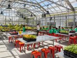 Image of kids sitting in a greenhouse with plants on the tables