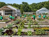 Kids watering plants in the Ruth Rea Howell Vegetable Garden