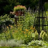 Edible Garden 2 in 2010 in the Herb Garden