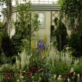 Image of Darwin's garden in the Conservatory