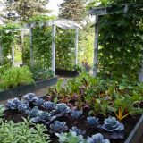 Image of gardening beds from Edible Garden 1 2009