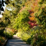 The Ladies' Border in fall.