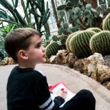 Photo of kid looking at cacti in the desert house