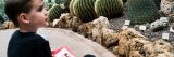 Photo of kid looking at cacti in the desert house