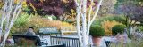 Photo of a man sitting on a bench in the Perennial Garden