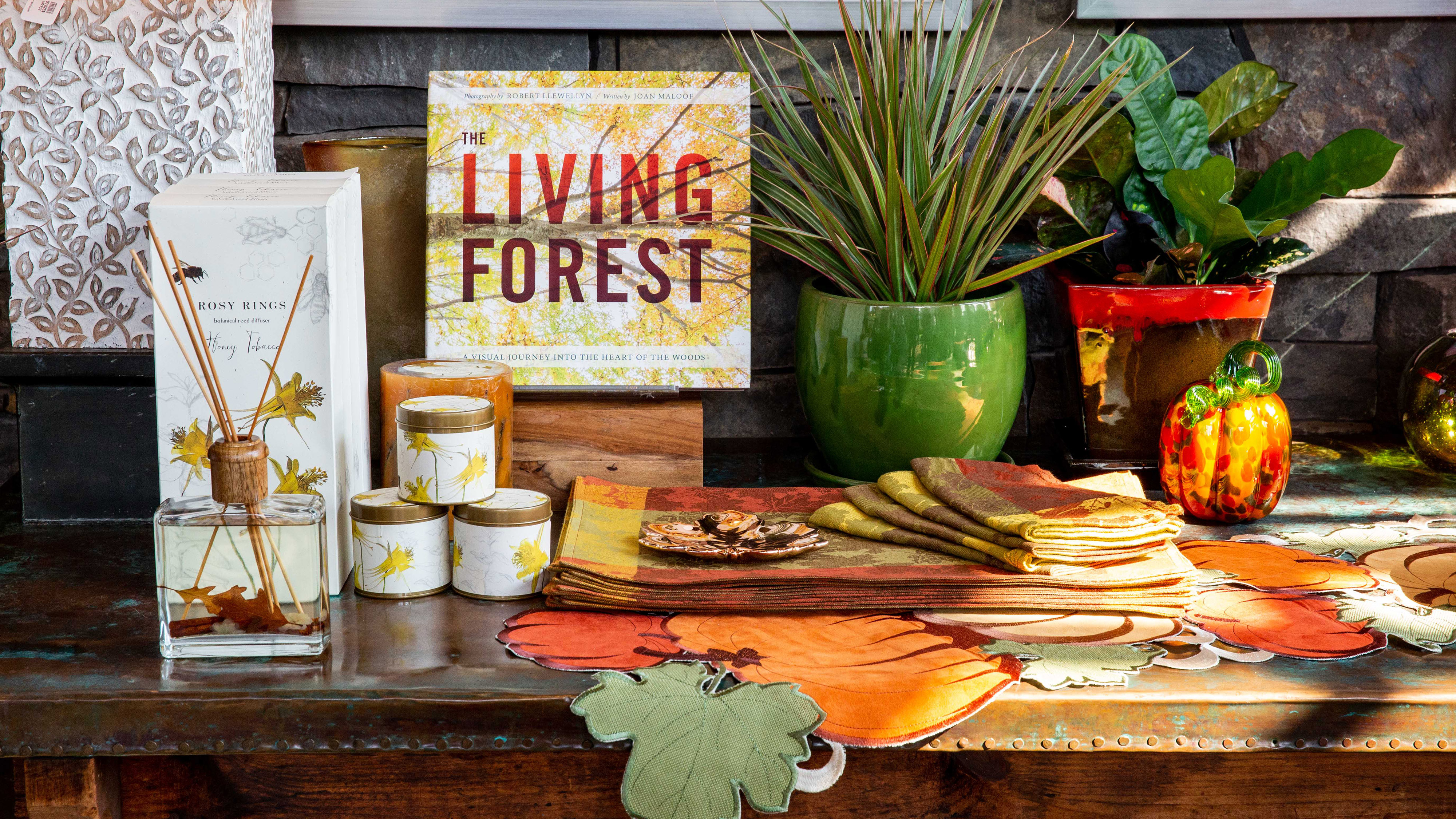Photo of a fall display in the NYBG shop