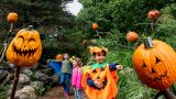 Photo of a boy in a pumpkin costume pointing at a scarecrow pumpkin in the Spooky Pumpkin Garden