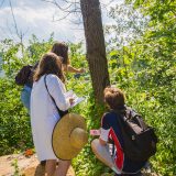 Photo of Citizen Scientists examining a tree